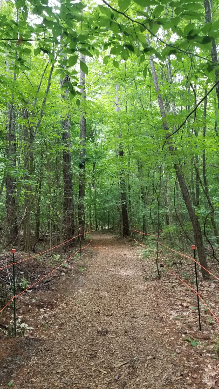 Congaree NP 